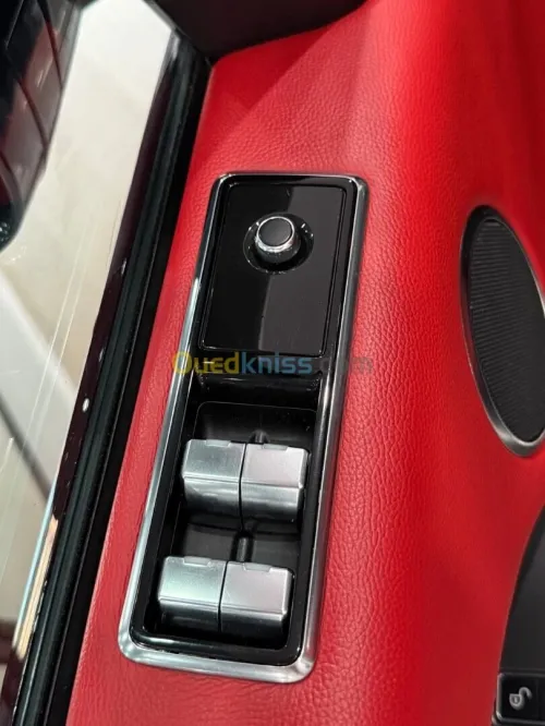 Ronge rover P 300 2019 Svr