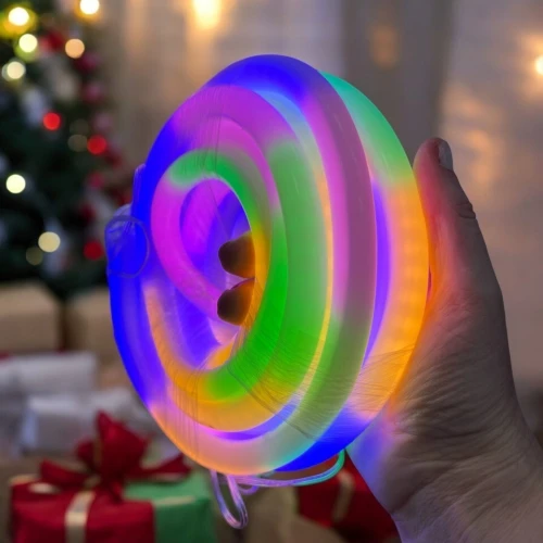 Led Neon RGB 5m avec app gratuit/bluetooth