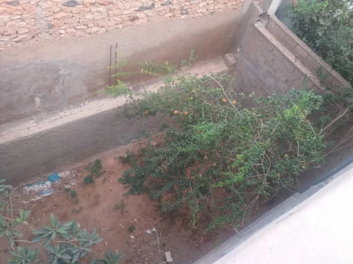 Vente Villa Aïn Témouchent Chaabet el ham