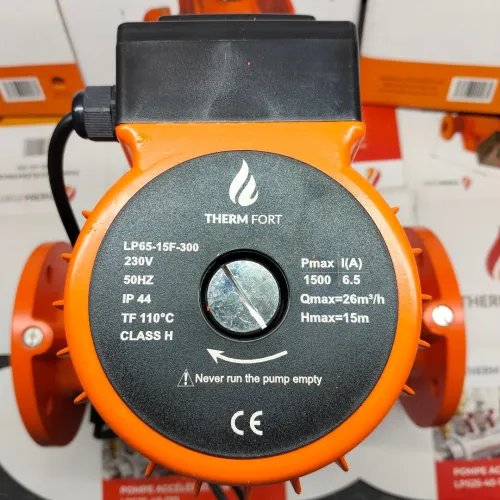 Pompe Accélérateur THERM FORT 65 À Bride 12M/300 ET 15M/300