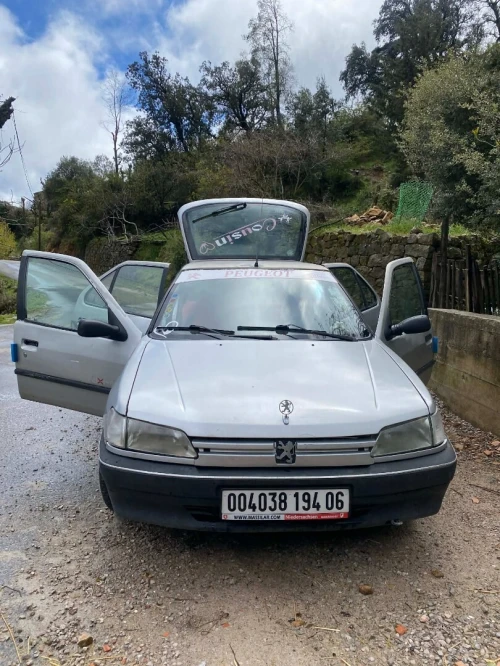 Peugeot 306 1994 306