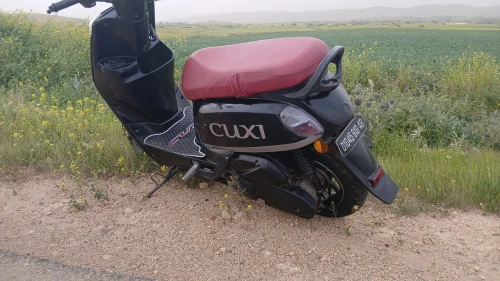 Cuxi 1 1 2019