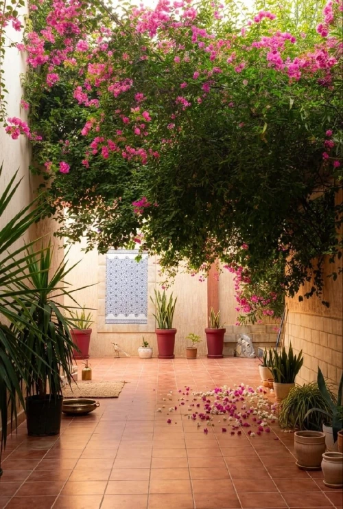 Location vacances Villa Mostaganem Mostaganem