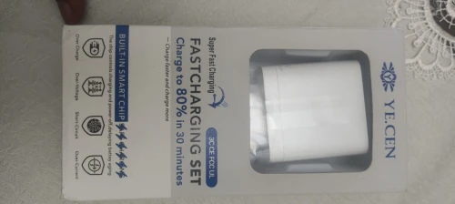 Fast charger