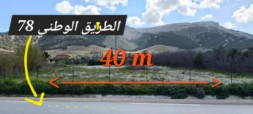 Vente Terrain Batna Guigba