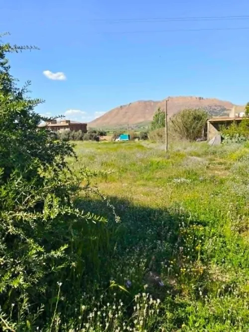 Vente Terrain Batna Guigba