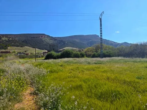 Vente Terrain Batna Guigba