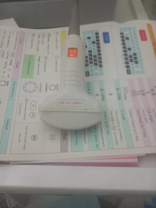 Echographe Honda HS-2200