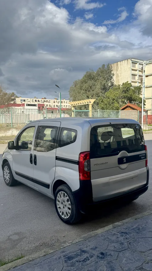 Peugeot Bipper 2009 Tepee