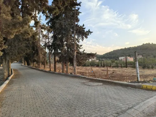 Vente Terrain Tlemcen Mansourah