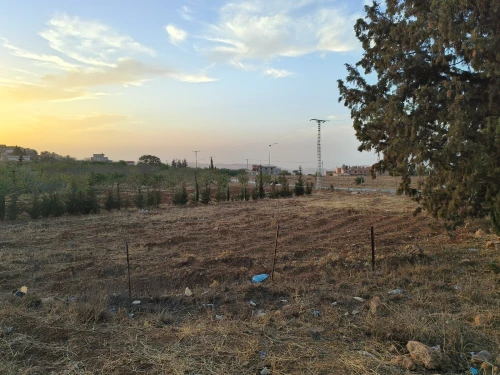 Vente Terrain Tlemcen Mansourah