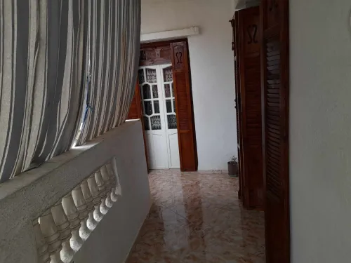Vente Villa Alger Les eucalyptus