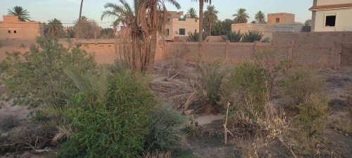 Vente Terrain Laghouat Laghouat