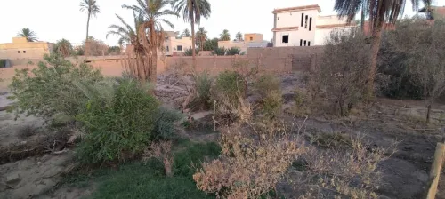 Vente Terrain Laghouat Laghouat