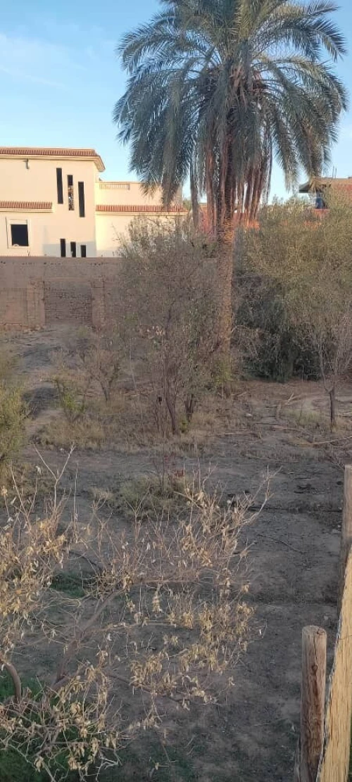 Vente Terrain Laghouat Laghouat