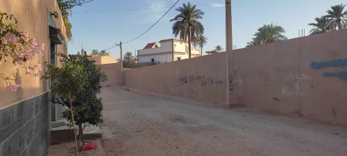 Vente Terrain Laghouat Laghouat