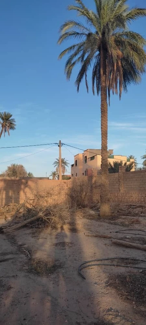 Vente Terrain Laghouat Laghouat