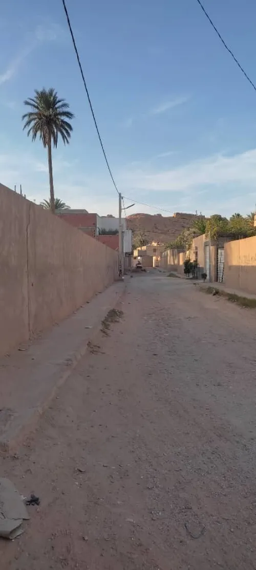 Vente Terrain Laghouat Laghouat