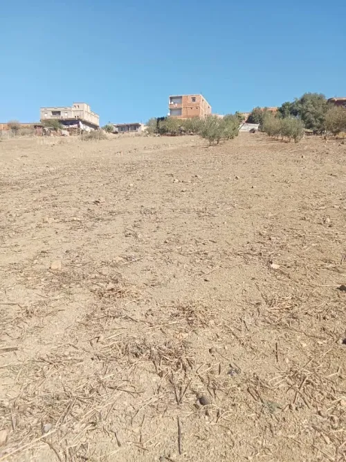 Vente Terrain Bouira Kadiria