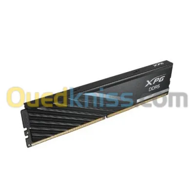 RAM MAGMA DDR5 16GB 5600 MHZ DSQ
