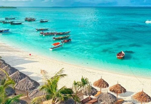 Voyage Organisé à Zanzibar en Tanzanie le mois d'Août. 