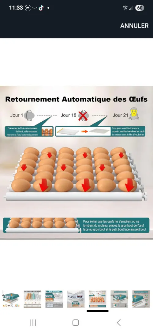 COUVEUSE AUTOMATIQUE OISEAUX CANARD.....