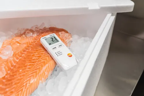 testo 184 T2 - Enregistreur de données USB pour la température
