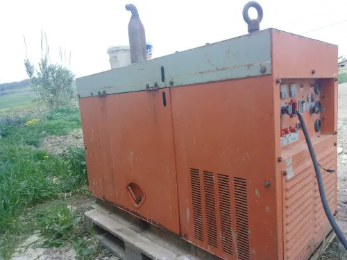 02 Groupes electrogaines + couvoir 24000