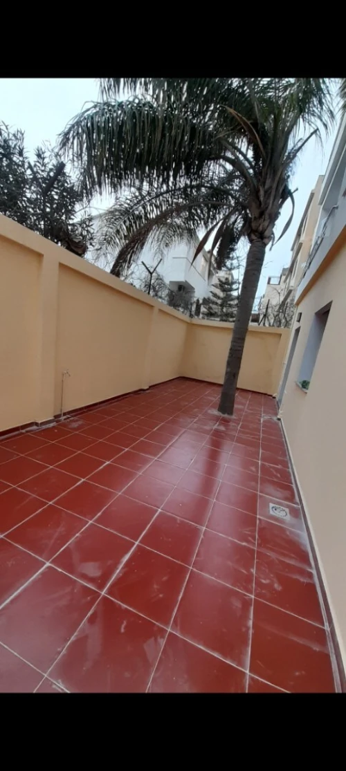 Location Immeuble Alger Zeralda
