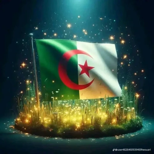Vente Terrain Alger Alger centre