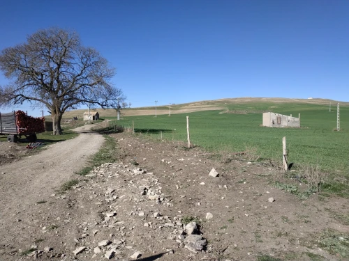 Vente Terrain Agricole Sétif El ouricia