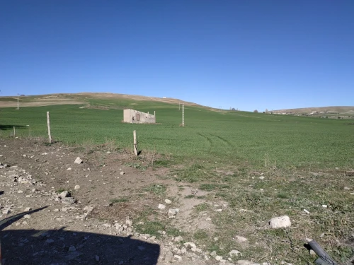 Vente Terrain Agricole Sétif El ouricia