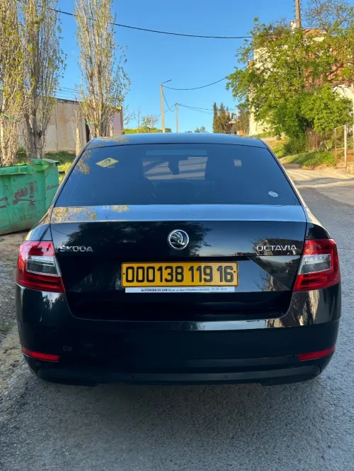 Skoda Octavia 2019 Octavia