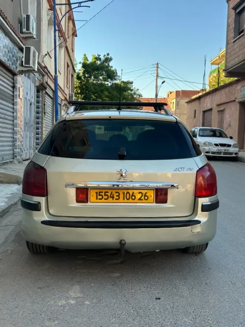 Peugeot 407 SW 2006 407 SW