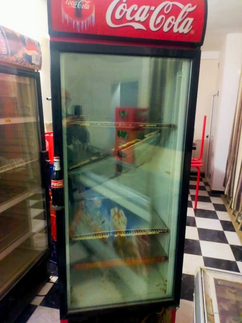 frigo