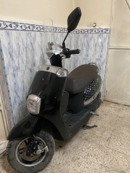 Okinoi Cuxi 1 2019