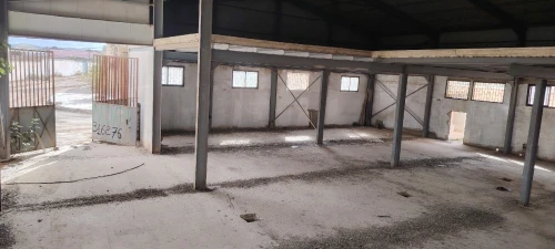 Vente Hangar - Usine Oran Oued tlelat