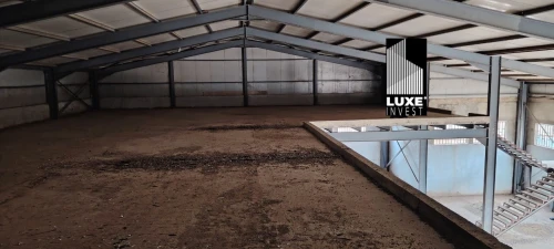 Vente Hangar - Usine Oran Oued tlelat