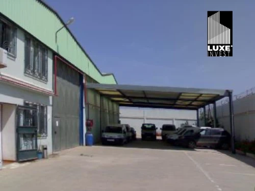 Location Hangar - Usine Oran Es senia