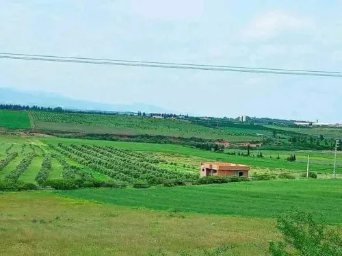 Vente Villa Tlemcen Marsa ben mhidi
