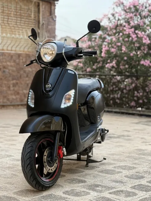 Sym Fiddel 3 2024