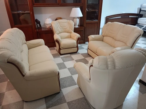 Salon en cuir véritable