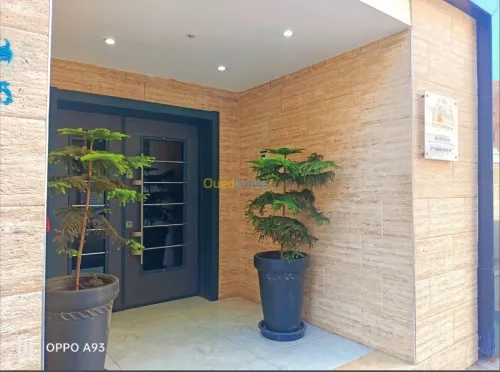 Location Appartement F3 Oran Oran