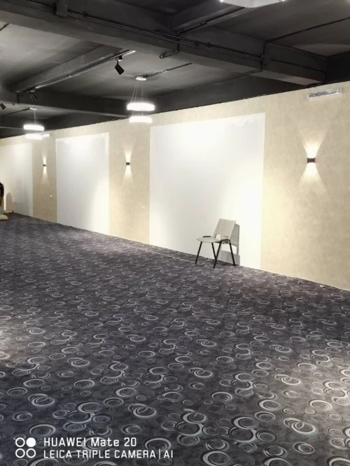 travaux placoplâtre BA13 faux plafond et separations 