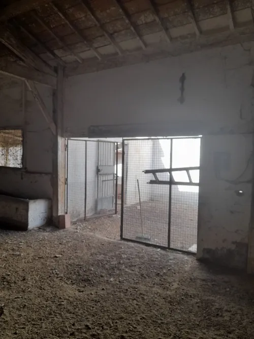 Location Hangar Mascara Sig