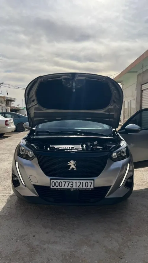 Peugeot 2008 2021 
