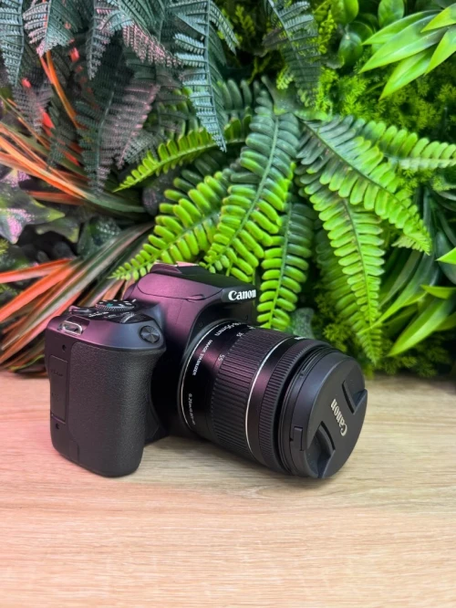 Canon 250D 