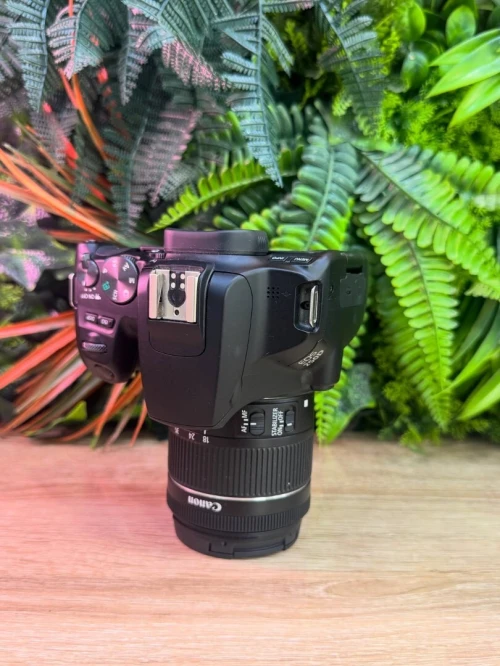 Canon 250D 
