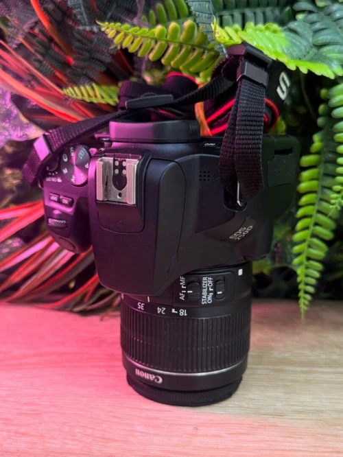 Canon 250D