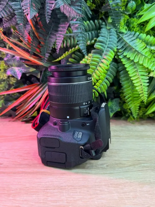 Canon 250D